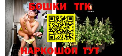 тгк Можга