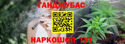 тгк Можга